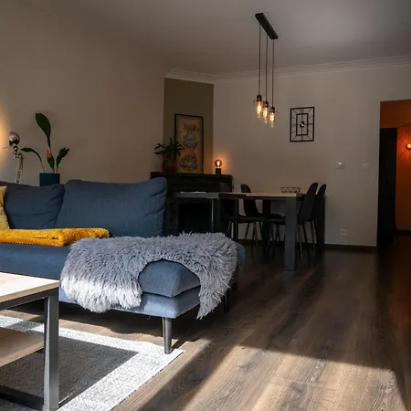 Gezelligheid In Het Stadscentrum Van * メッヒェレン